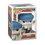 Kite