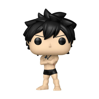 Gray Fullbuster - Chase Bundle Funko Pop - Pop Collectibles