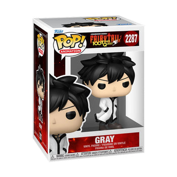 Gray Fullbuster - Common Funko Pop - Pop Collectibles