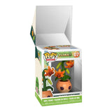 Tiger Lily Flora Pop! Mystery Funko Pop Box