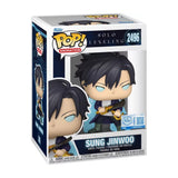 Sung Jinwoo common Funko Pop Box included in bundle