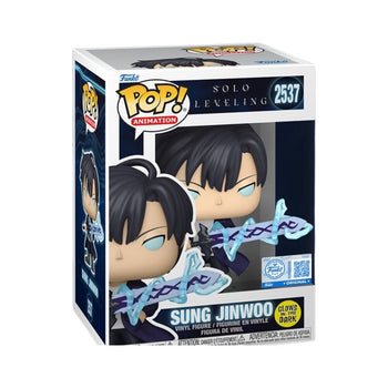 Sung Jinwoo with Sword Funko Pop Box #2537 Solo Leveling Glows in the Dark