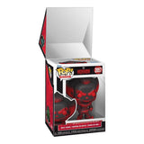 Pennywise Warner Bros. Horror Pop! Mystery Funko Pop Box
