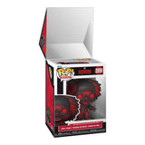 Pennywise with balloons Warner Bros. Horror Pop! Mystery Funko Pop Box