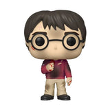Harry Potter (with Philosopher's Stone)